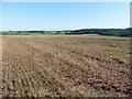 Stubble field at Whelmstone Cross