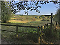 Footpath crossing on Dairy House nature reserve