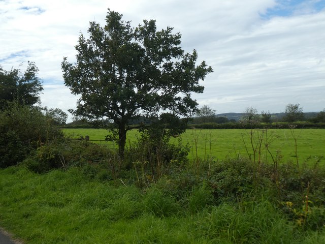 Grassland between A386 and Granite Way © David Smith cc-by-sa/2.0 ...