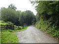 Granite Way on edge of Lydford