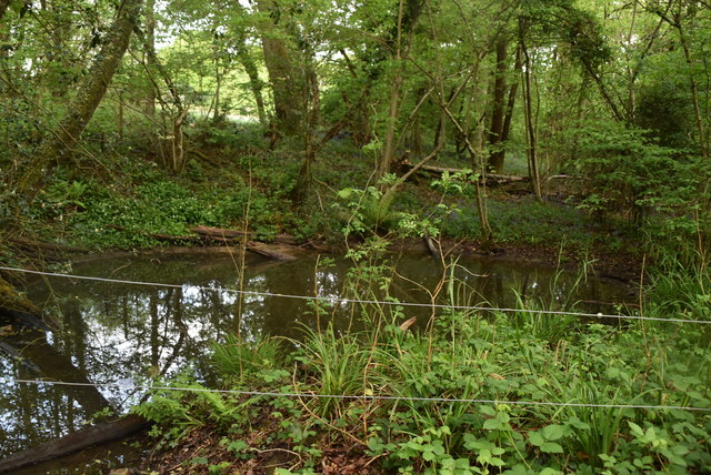Small pond, Broke's Wood
