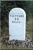 TG1705 : Old Milestone (east face) by the B1172, Norwich Road, Hethersett Parish by C Haines