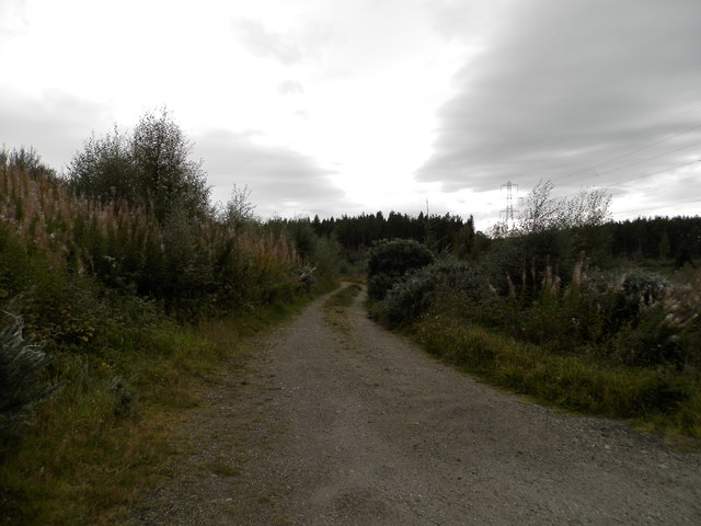 Forest track near Cluaisnahadig