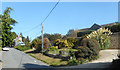 Roadside Garden, Great Coxwell