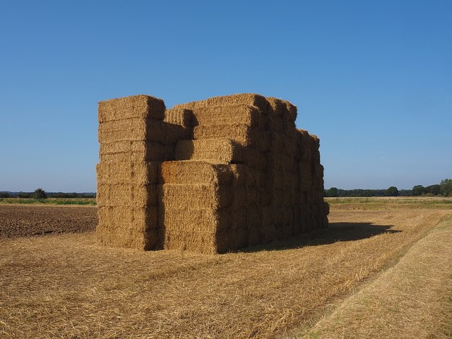 Straw stack on Bonby Carrs