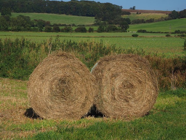 A pair of straw bales on Bonby Carrs
