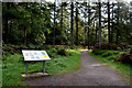 H4881 : Information board, Gortin Glens Forest Park by Kenneth  Allen