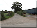 Lane near Emmasfield Farm, Monmouthshire