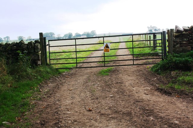 Gateway across track leading to Staingills Farm