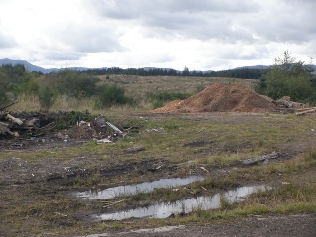 Forestry by the Annet Burn