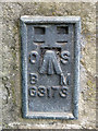 OSBM flush bracket on a building near Shittlehope Burn Bridge