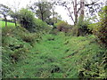 Llwybr i Gathilas / Path to Cathilas