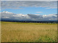 Farmland off the A6055