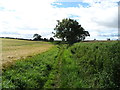 Farm track (bridleway) towards Hornby Park