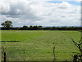 Silage field off James Lane