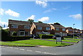 Houses on Mallard Road, Scotton 