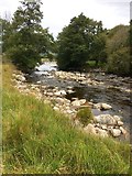 NN7899 : River Tromie by jeff collins