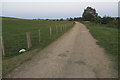 Footpath to Coombe Hill Farm