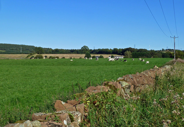Farmland near Littlefield