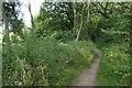 The Oxfordshire Way near Foxholes Farm