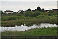 Pond, Doxey Marsh Nature Reserve