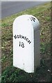 TF9600 : Old Milestone (west face) by the B1108, Norwich Road, Carbrooke Parish by CW Haines