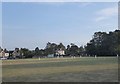 Cricket on a summer evening