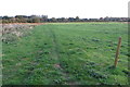 Footpath to the Barfords