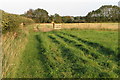 Footpath to the Barfords