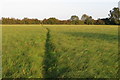 Footpath towards Wooden Hill Farm