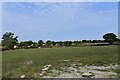 Standen, Pook Lane: Field of grass