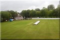 Cricket pitch