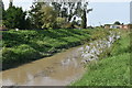 River Parrett at Burrowbridge