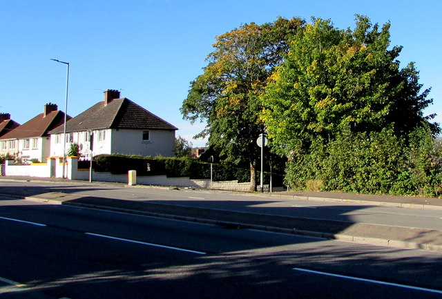 Early Autumn 2020 colours on a Malpas corner, Newport