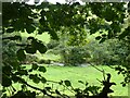 River Camel from Camel Trail cycle path