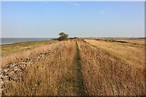 TQ7479 : Footpath North of Cliffe Marshes by Oast House Archive