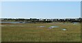 Saltmarsh near Four Mile Bridge