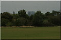 View of Canary Wharf from Aldersbrook Road