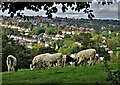 Above the Porter Valley