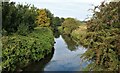 SE4401 : River Dearne at Bolton-Upon-Dearne by Dave Pickersgill