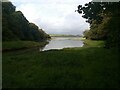 The creek on the Pembroke River