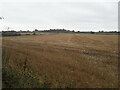 Field of stubble west of Mill Cottage