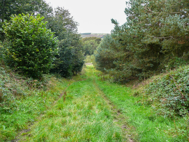 Bridleway from Bullhouse to Lee :Lane