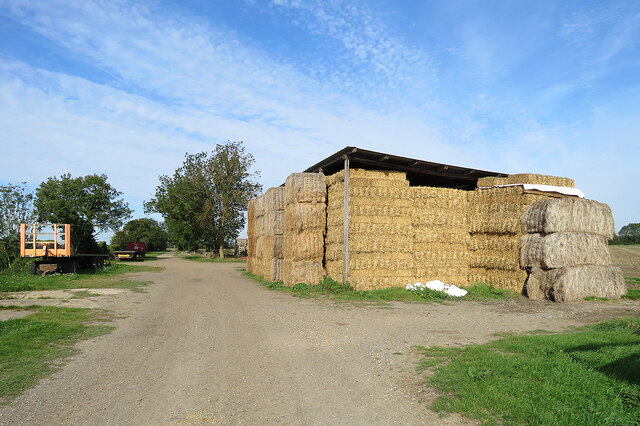 Allicky Farm: stacked straw