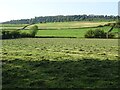 SO4472 : Haymaking near Burrington Farm by Philip Halling