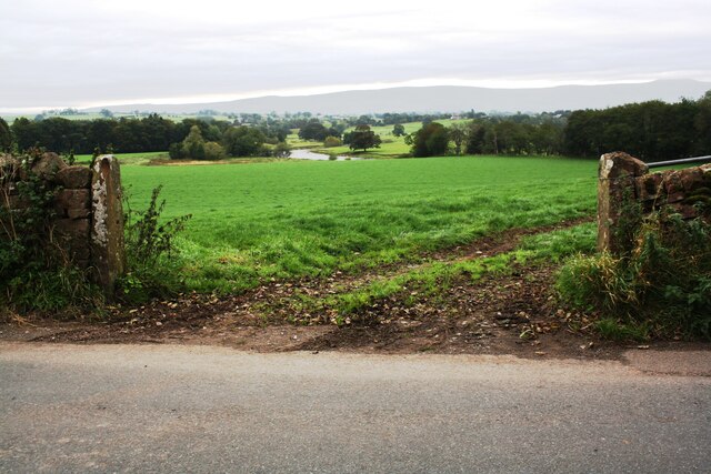 View towards River Eden through field gateway on east side of B6412