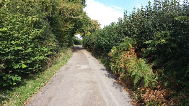 Restricted byway and drive up to Lodge Farm
