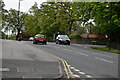 Ripon Rd, A61