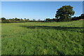 Footpath to the A361