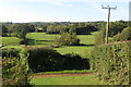 Power lines over the pasture